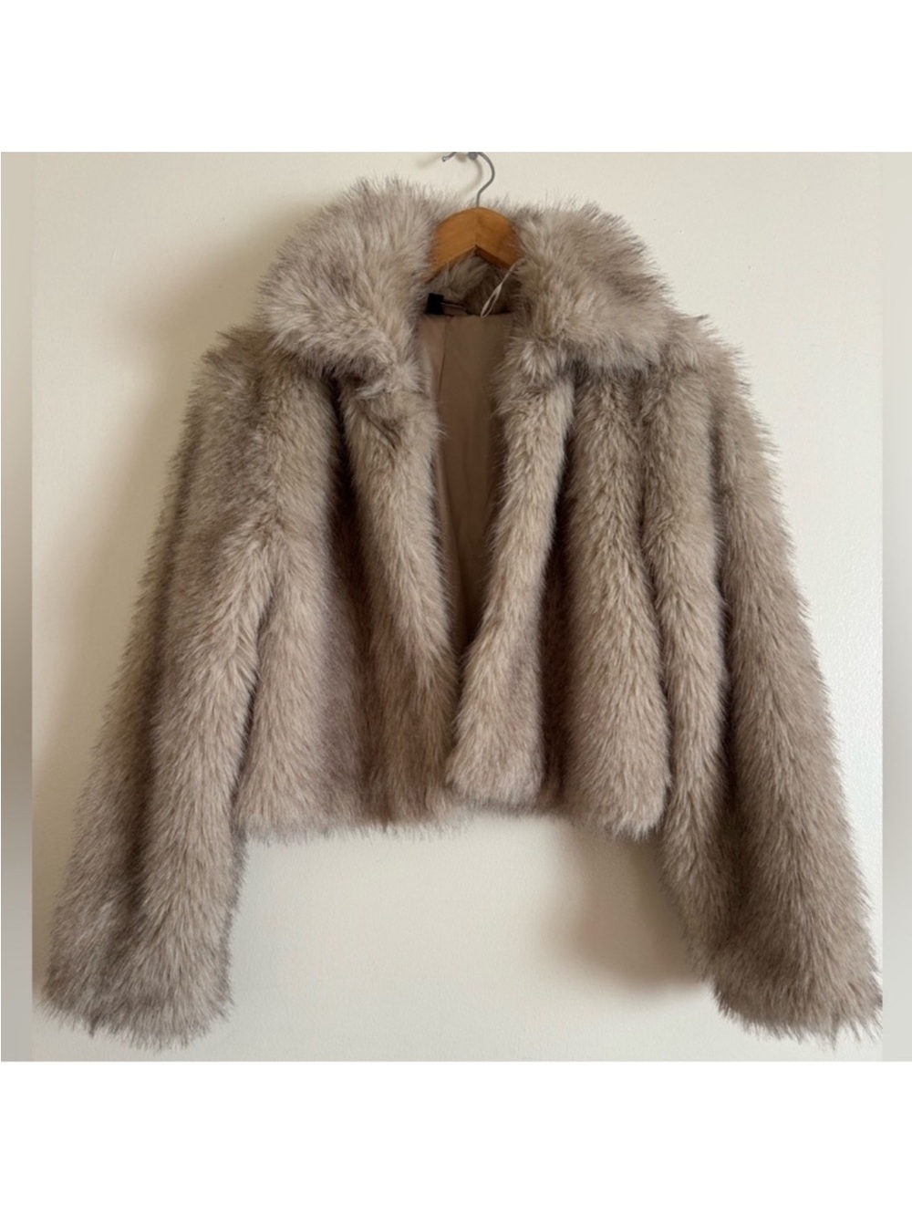 H&M Cropped Faux Fur Teddy Jacket in Taupe